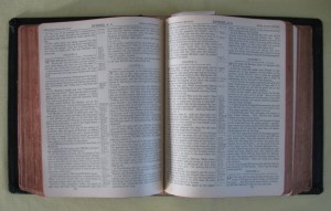 Old Original Bible from 1891